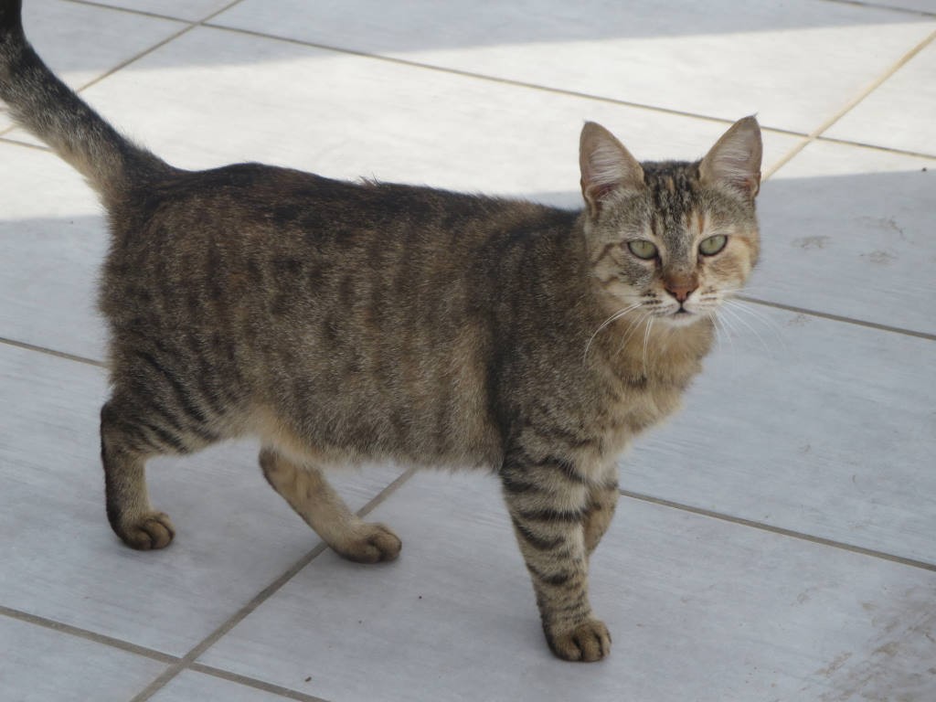 Cyprus