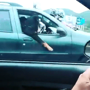 意大利狼犬