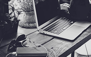 蓝眼睛的猫：品种特征与饲养指南2026最新版