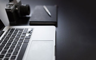 2026实用养猫指南：猫鼻支和感冒的区别及应对