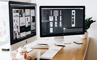 挖煤猫是什么品种？2026宠物圈揭秘真实身份