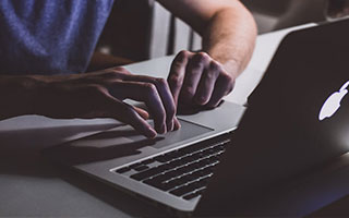 母猫叫声唤小猫有哪些作用？2026养宠新手的实用互动引导