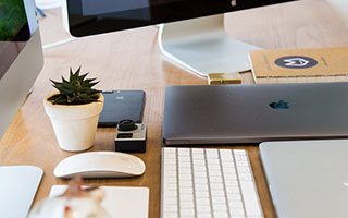 2026年折耳猫价格全解析：选购指南与成本预估